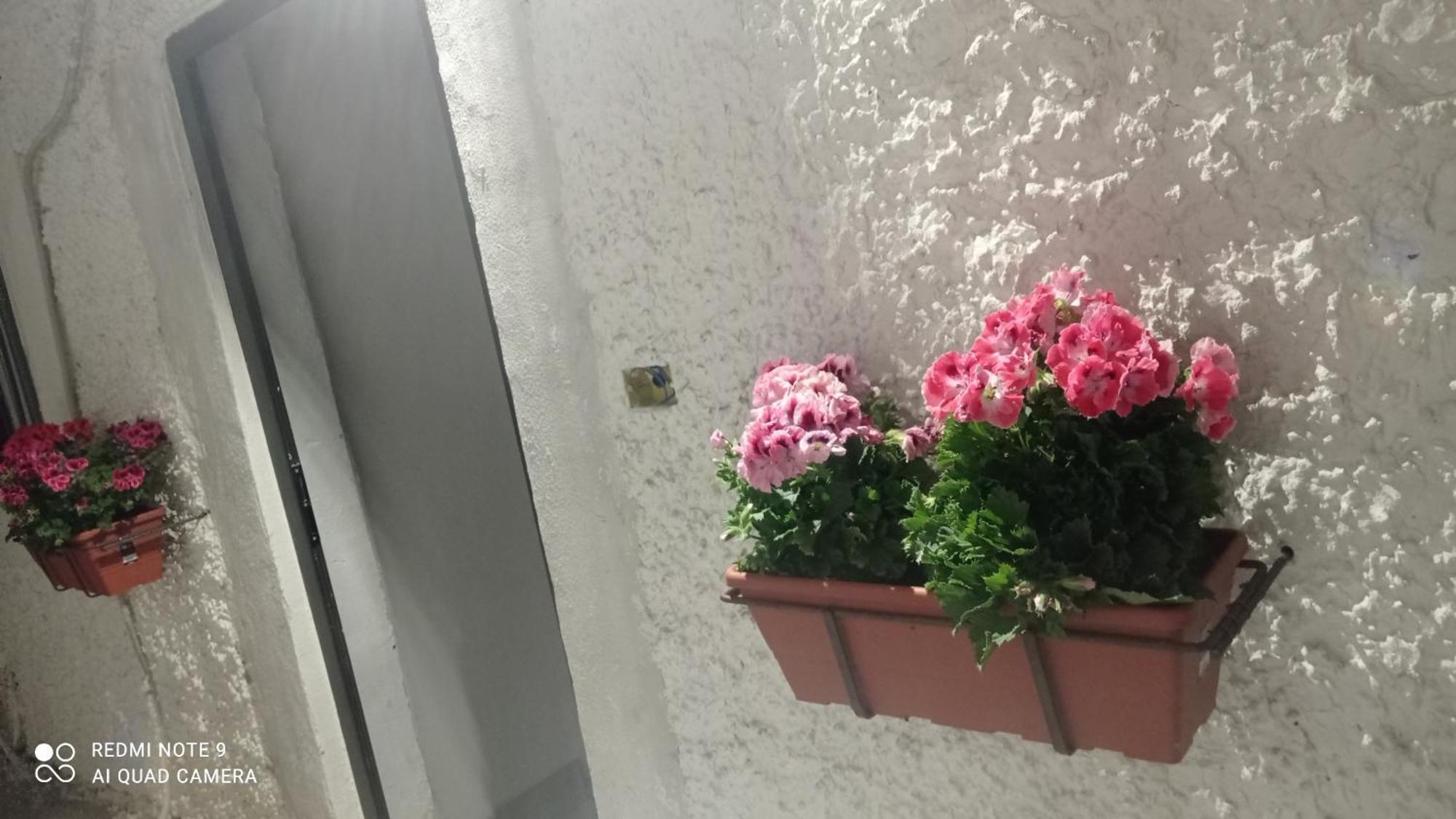Ortensia C House Villa Catania Ngoại thất bức ảnh