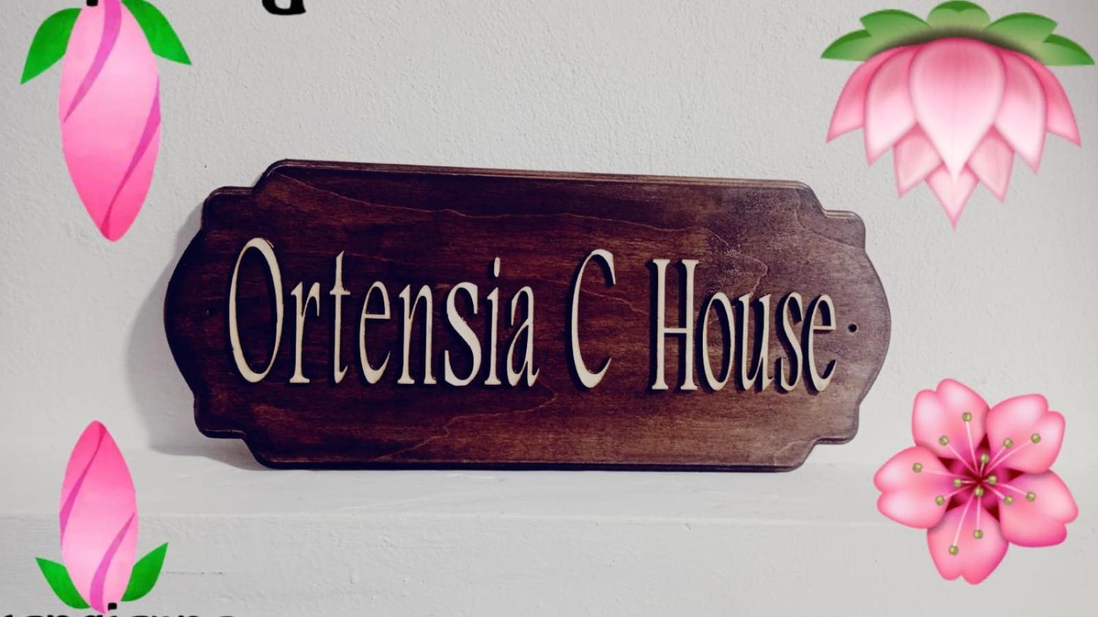 Ortensia C House Villa Catania Ngoại thất bức ảnh